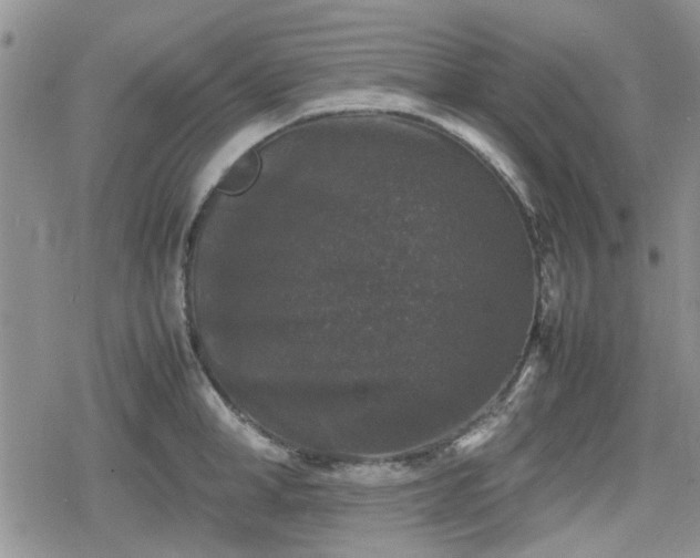 X0000078840998200611201308