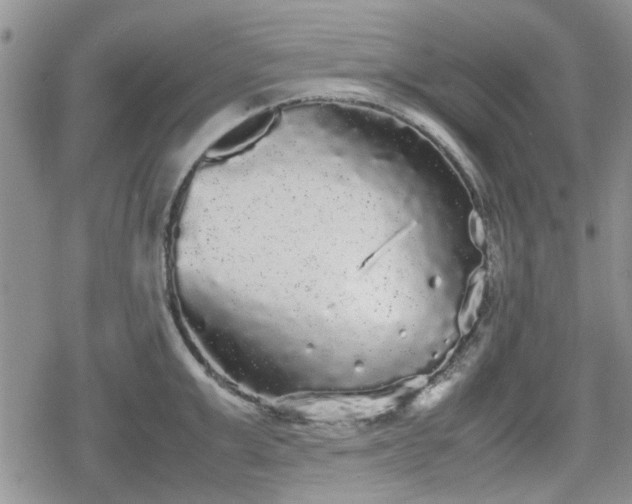 X0000078840999200611201308