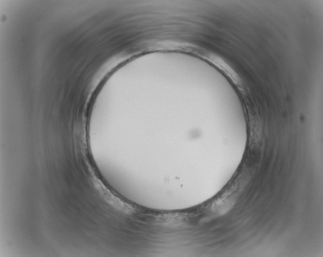 X0000078841000200611201308