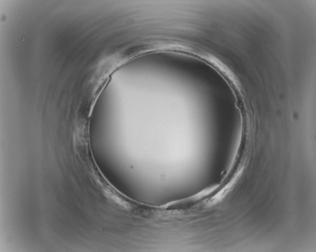 X0000078841001200611201308