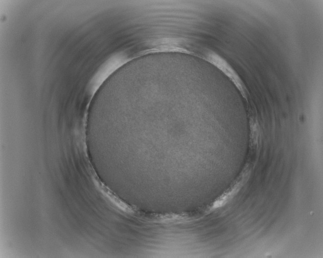 X0000078841002200611201308