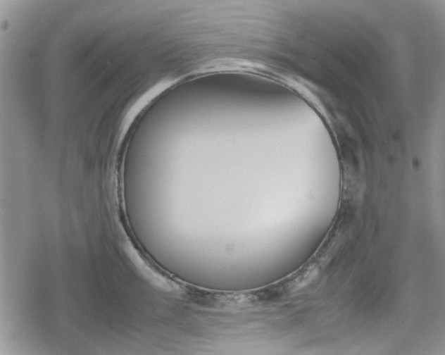 X0000078841003200611201308