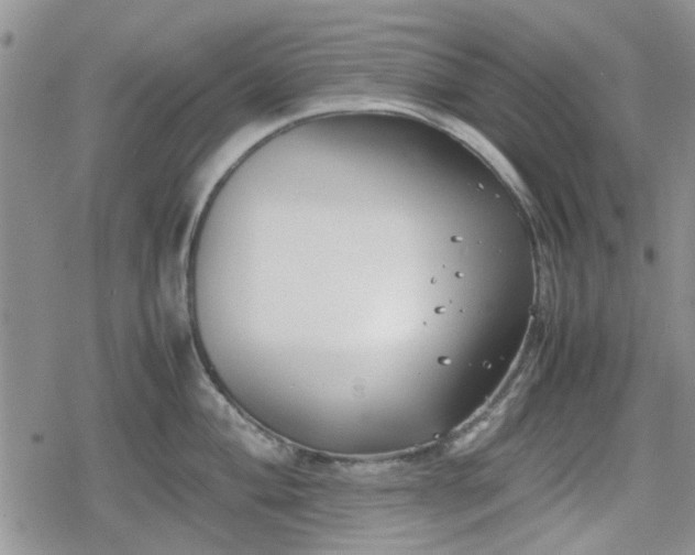 X0000078841004200611201308