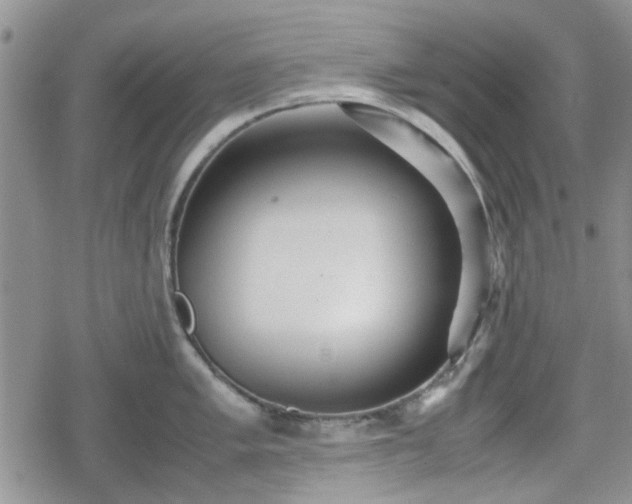 X0000078841005200611201308