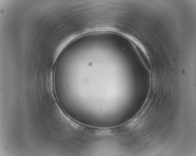 X0000078841006200611201308