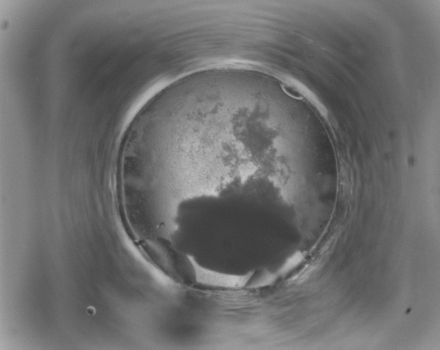 X0000078841007200611201308