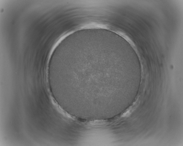 X0000078841008200611201308