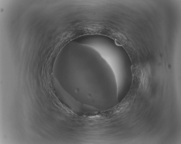 X0000078841009200611201308