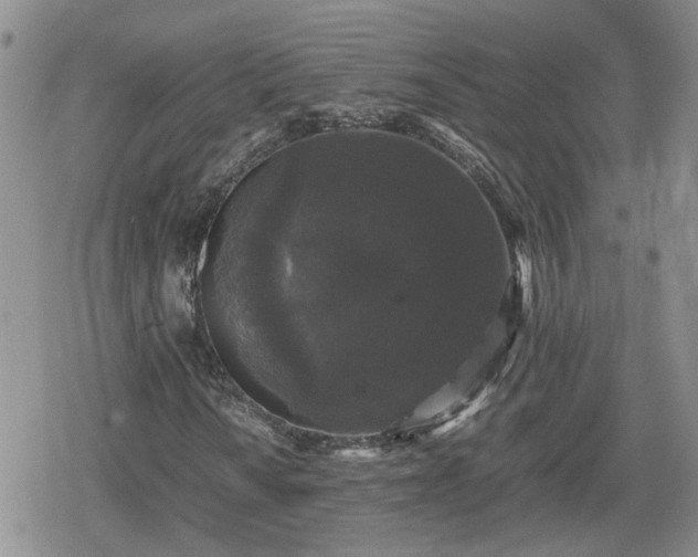 X0000078841010200611201308