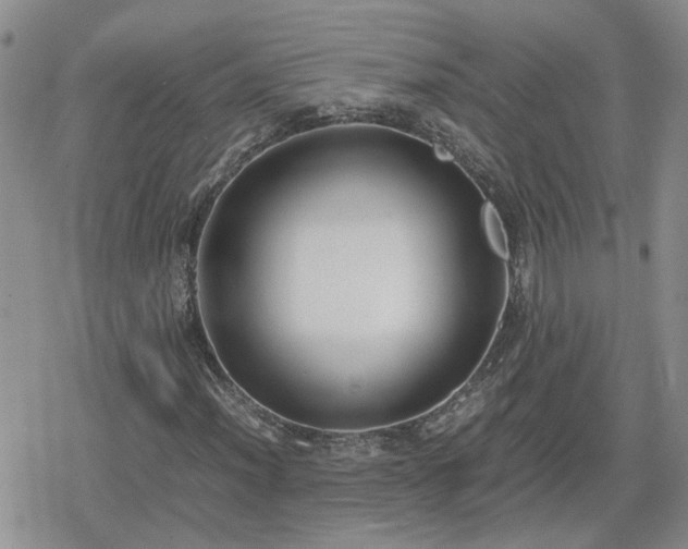 X0000078841012200611201308