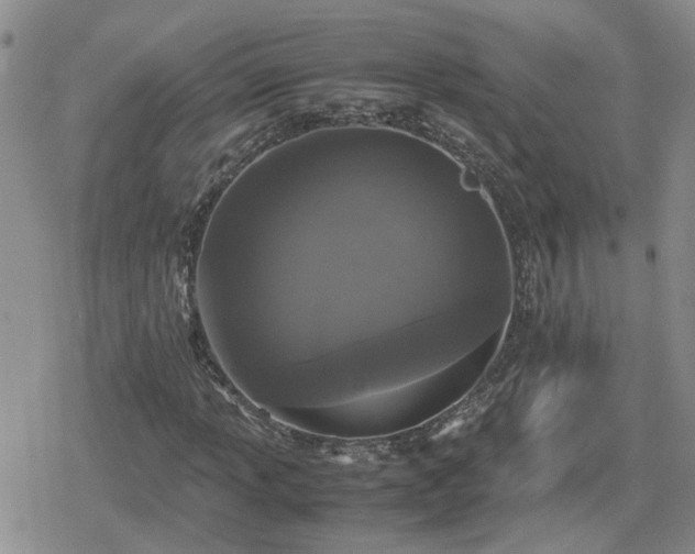 X0000078841013200611201308