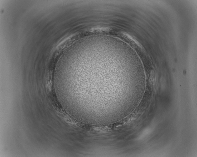 X0000078841015200611201308