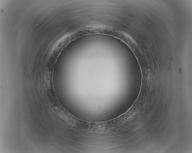 X0000078841016200611201308