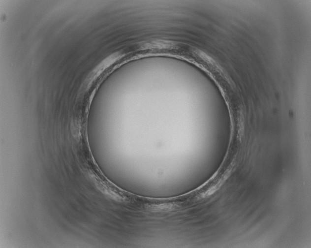 X0000078841017200611201308