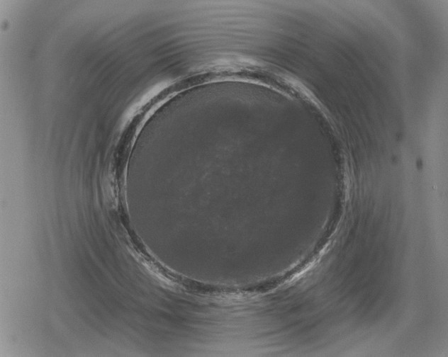 X0000078841018200611201308