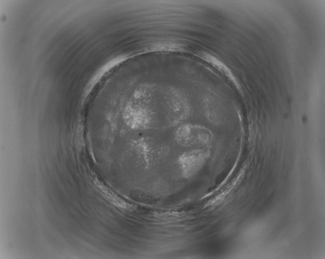 X0000078841019200611201308