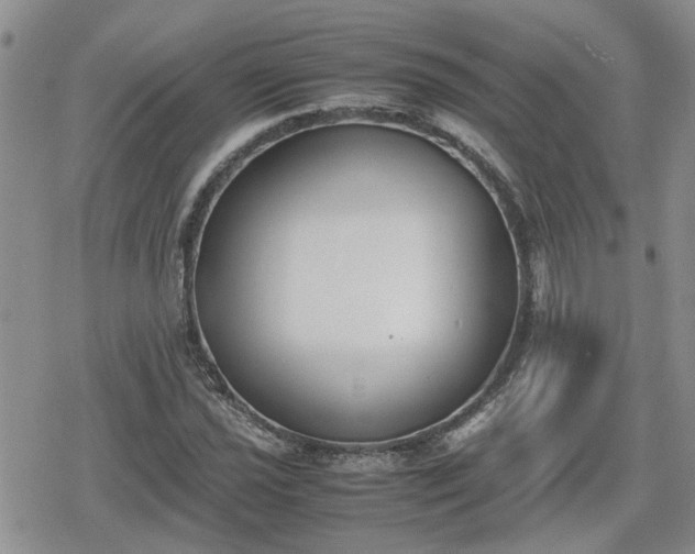 X0000078841021200611201308