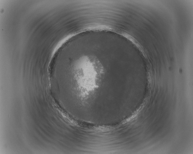 X0000078841022200611201308