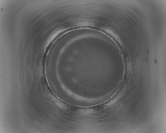 X0000078841023200611201308