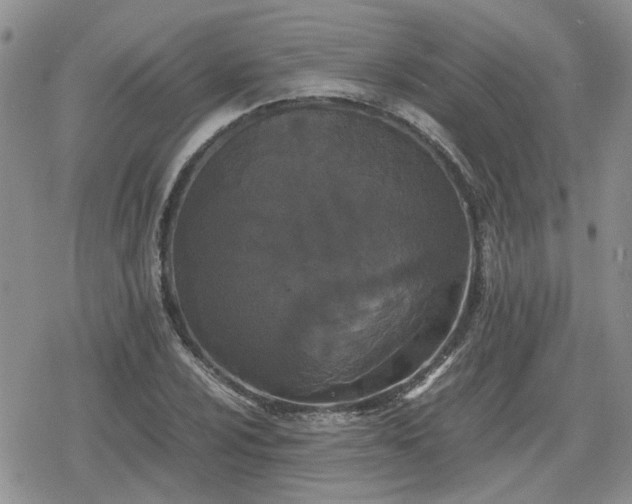 X0000078841024200611201308