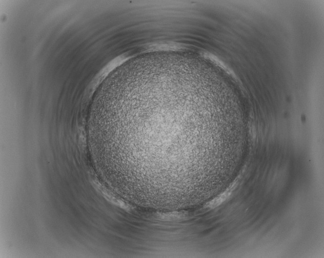 X0000078841025200611201308