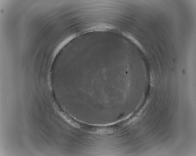 X0000078841026200611201308