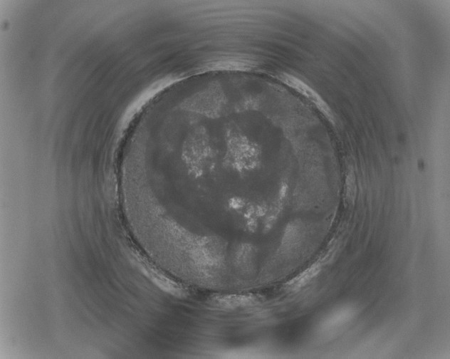 X0000078841027200611201308