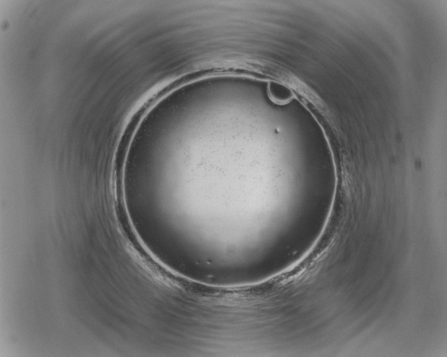 X0000078841028200611201308