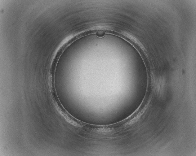 X0000078841029200611201308