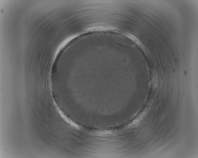 X0000078841030200611201308