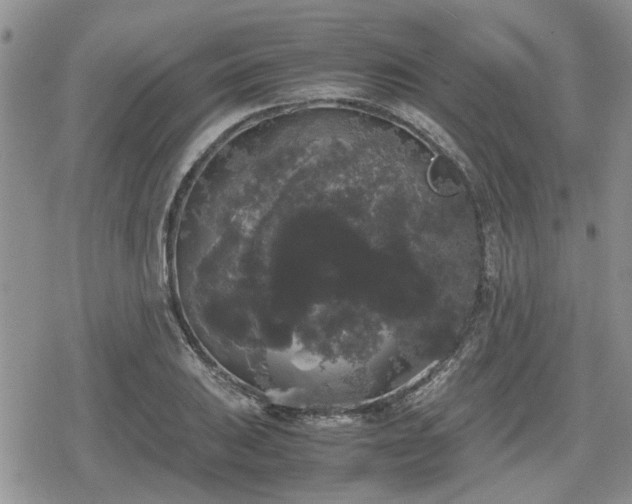 X0000078841031200611201308