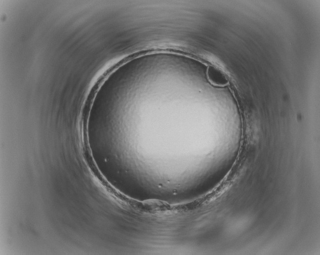 X0000078841032200611201308