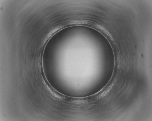 X0000078841033200611201308