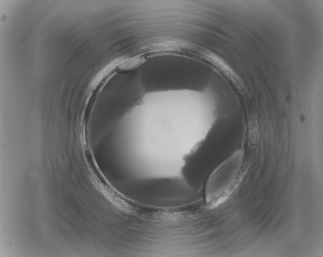 X0000078841034200611201308