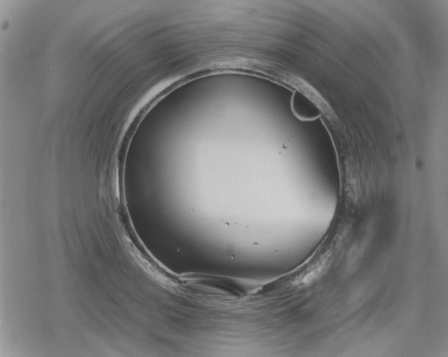 X0000078841036200611201308