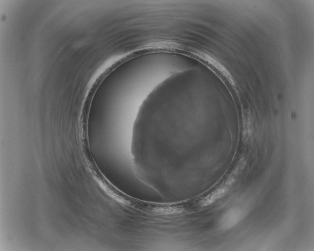 X0000078841037200611201308