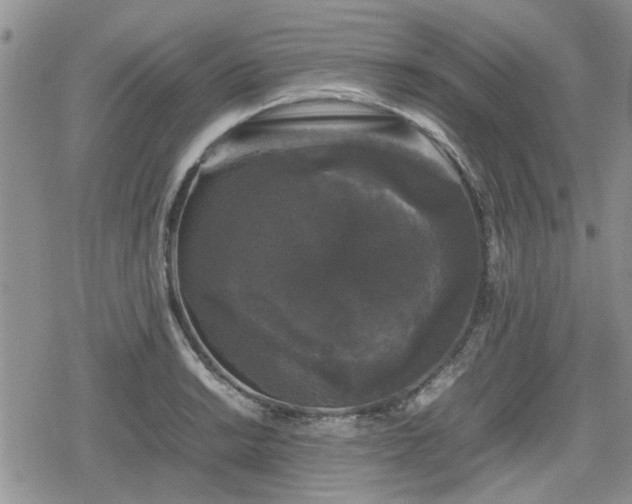 X0000078841038200611201308