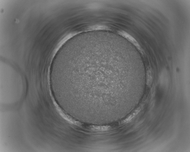 X0000078841039200611201308