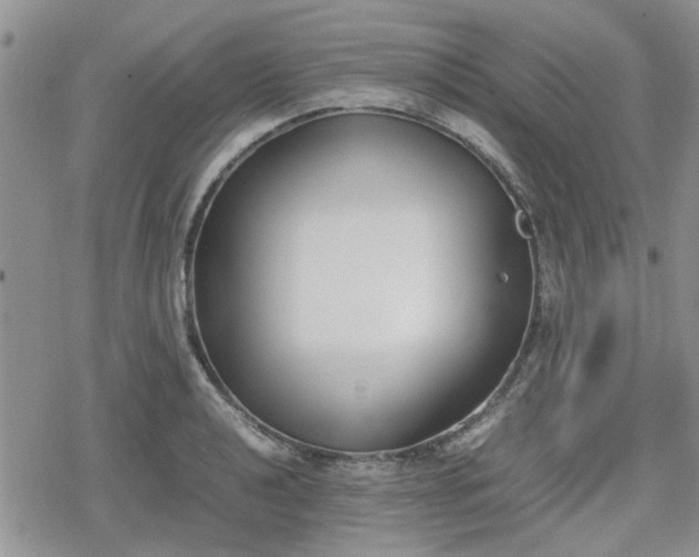 X0000078841040200611201308