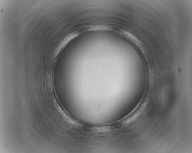 X0000078841041200611201308