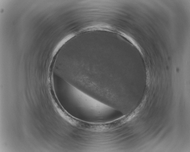 X0000078841042200611201308