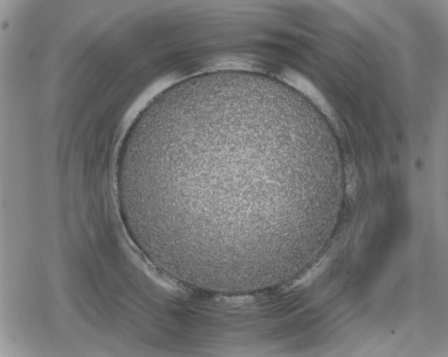 X0000078841043200611201308