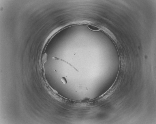 X0000078841044200611201308