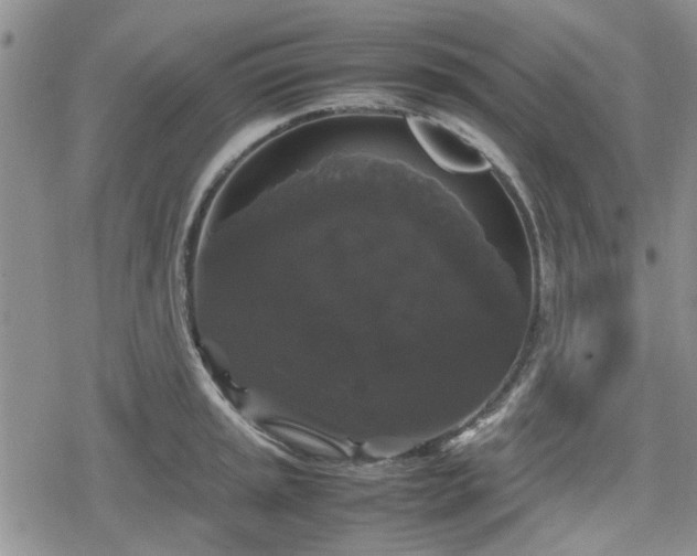 X0000078841045200611201308