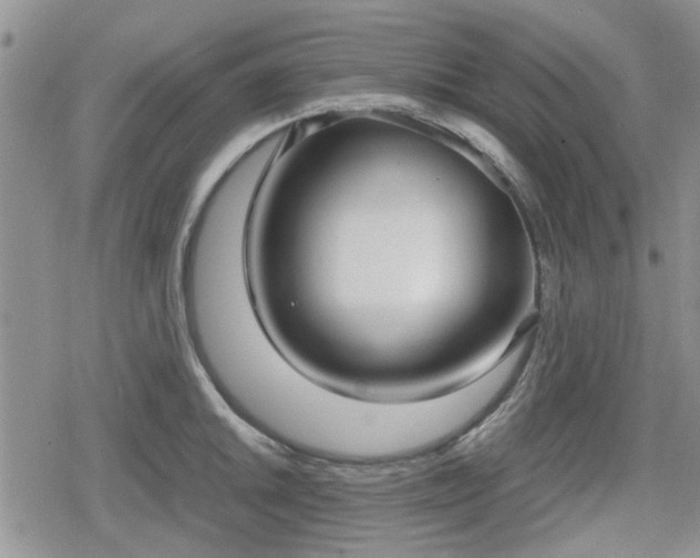 X0000078841046200611201308