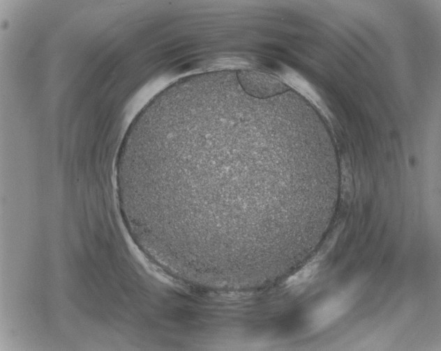 X0000078841047200611201308