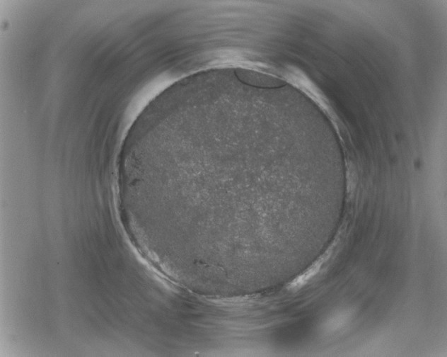 X0000078841048200611201308