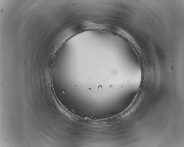 X0000078841049200611201308