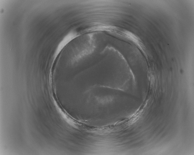 X0000078841050200611201308