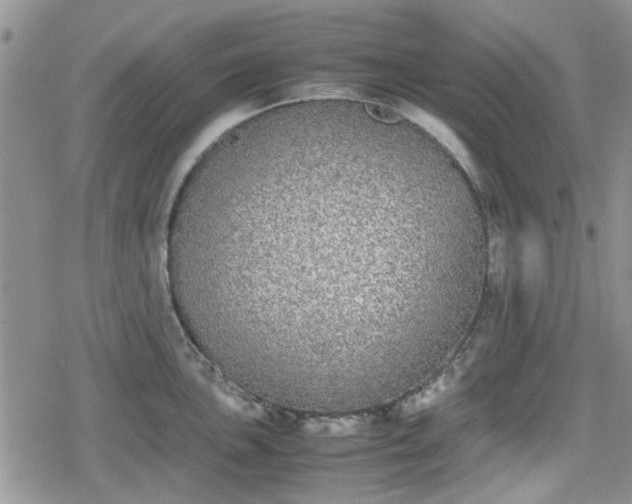 X0000078841051200611201308